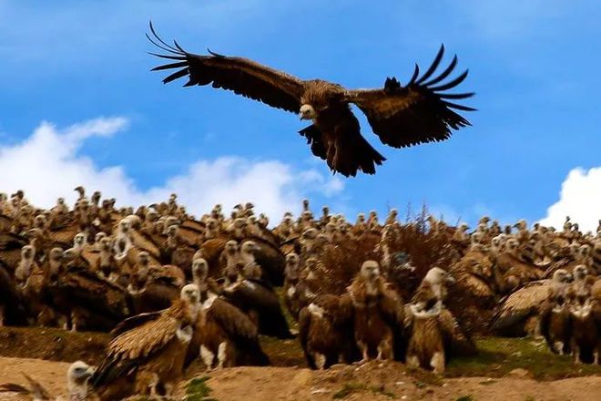 讲解！文章罕见分享近况“一抹红尘”