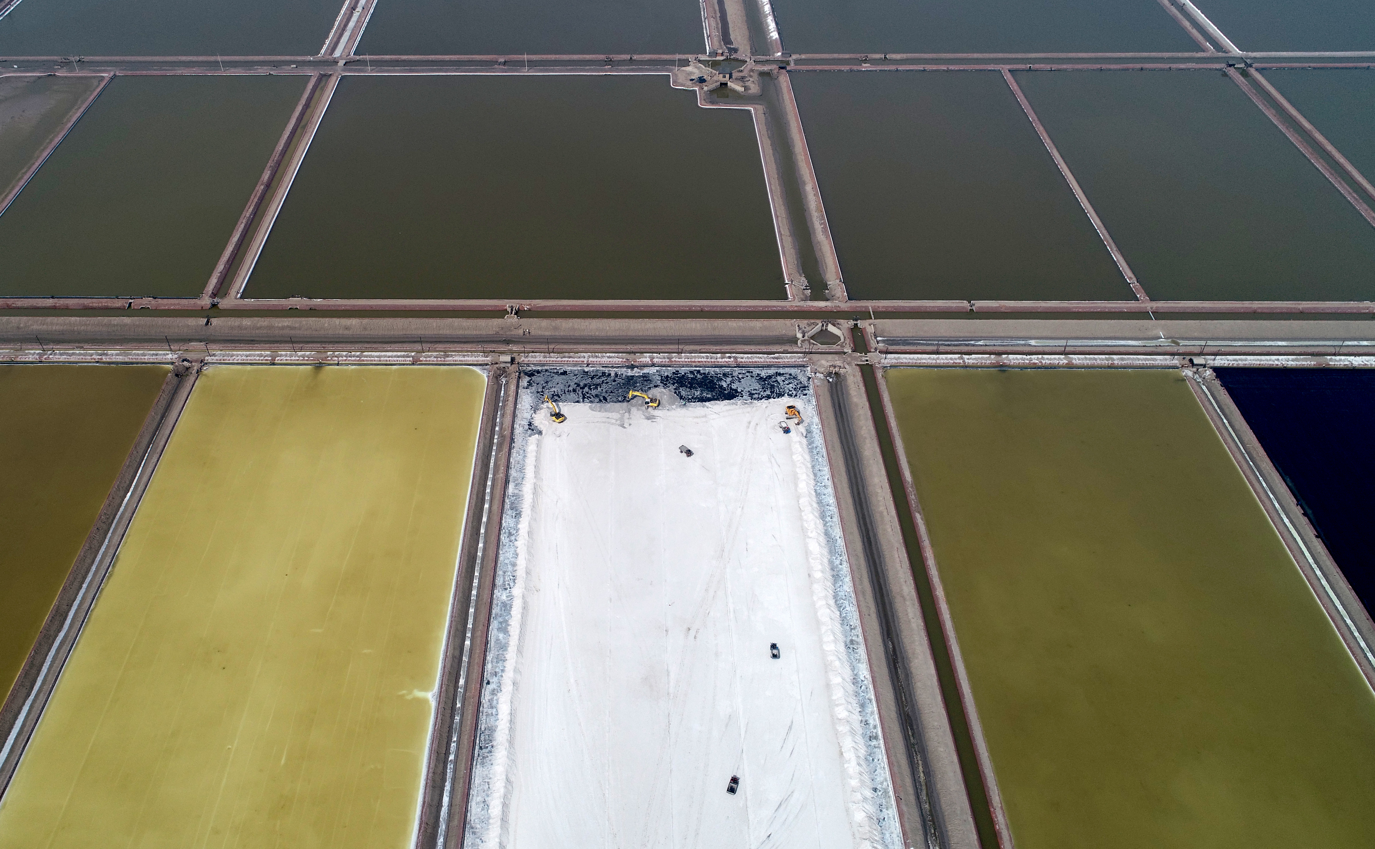 分析！汉沽盐场吧“一抹红尘”