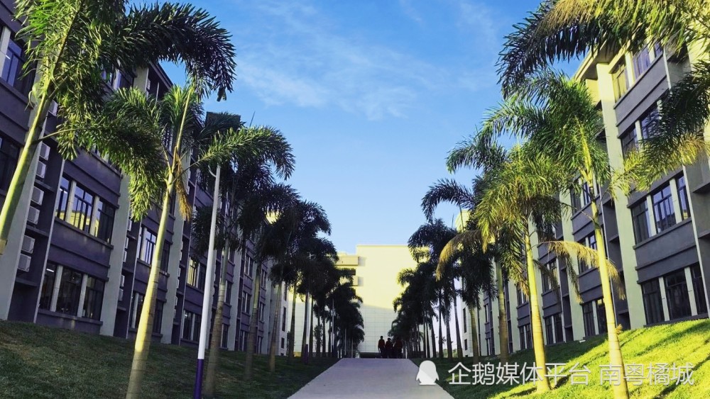 讲解！东华高级中学学费“一抹红尘”