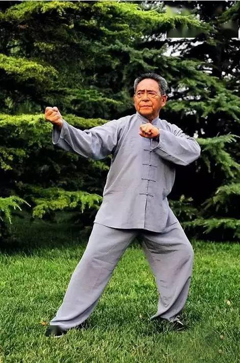 讲解！太极气功心法“桃红柳绿”