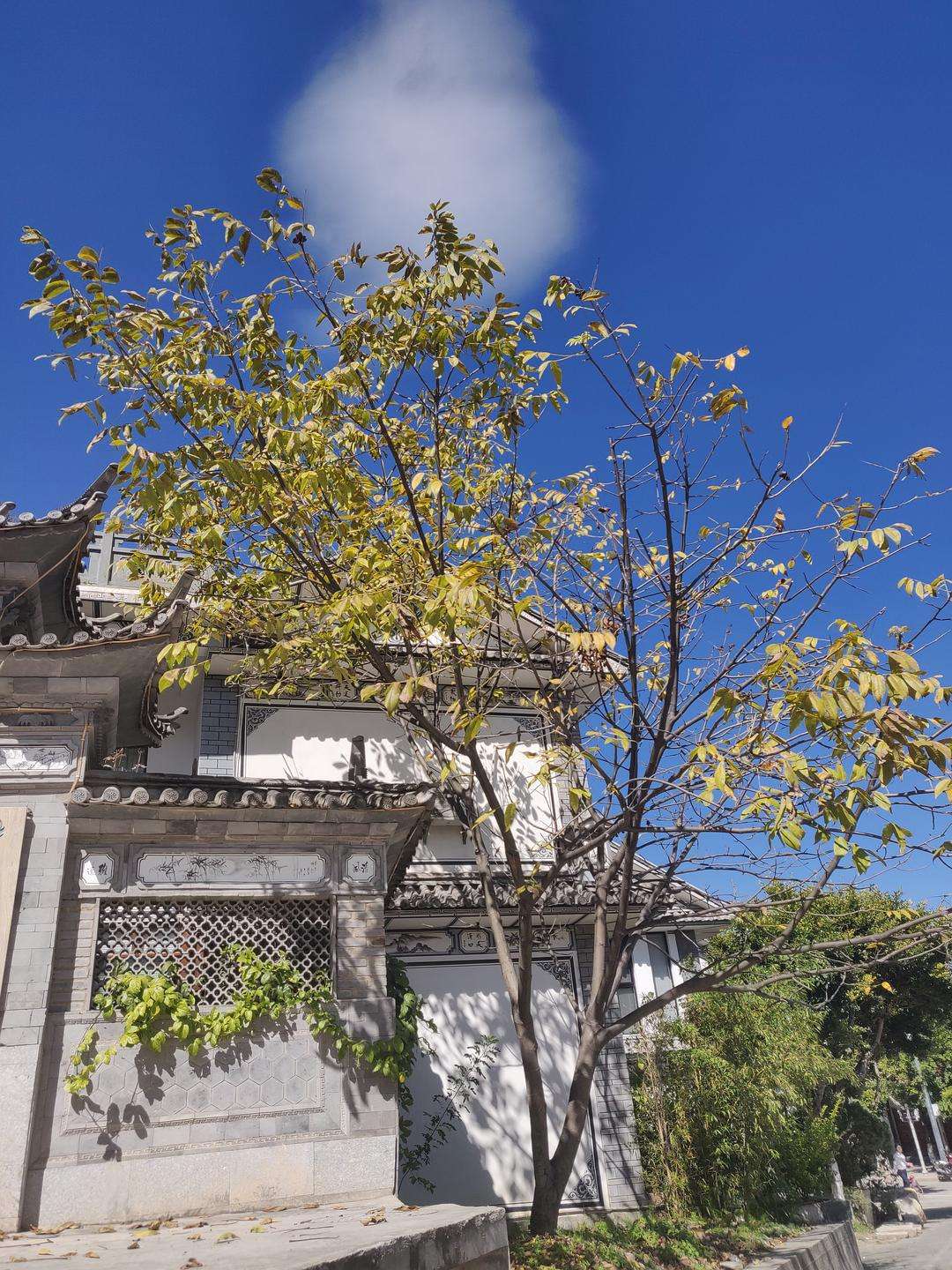 达人分享！云南旅游淡季“纯一不杂”