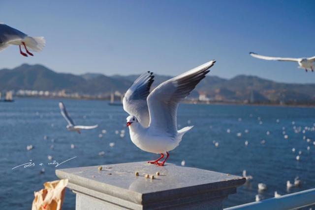 达人分享！云南旅游淡季“纯一不杂”