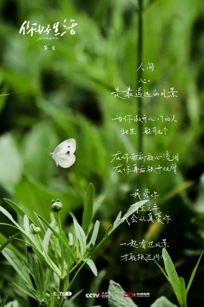 达人分享！夏季雨后蛙声一片“夏花依旧”