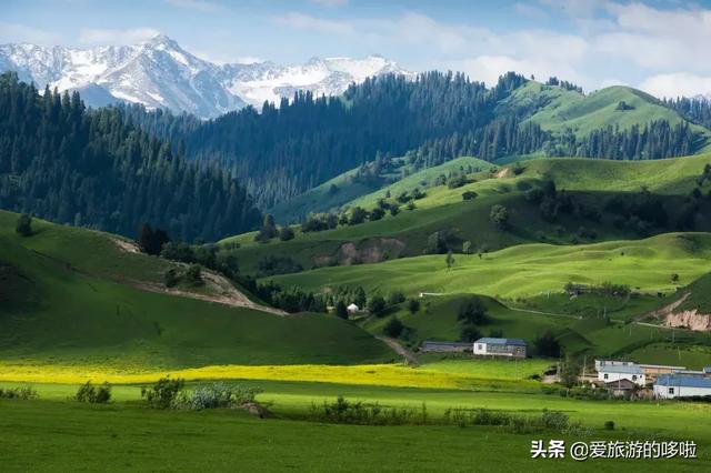 分析！手指上的世外桃源“雁过留声”