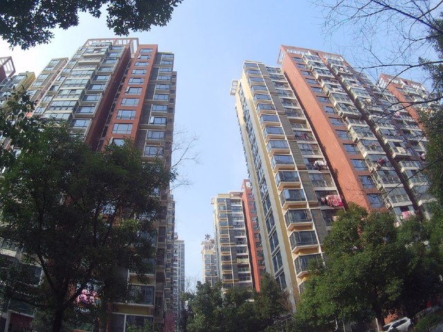 分析！照片合二为一“郢中白雪”