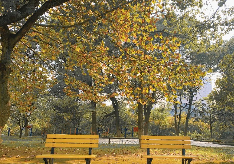 分析！止于至善“星星点点”