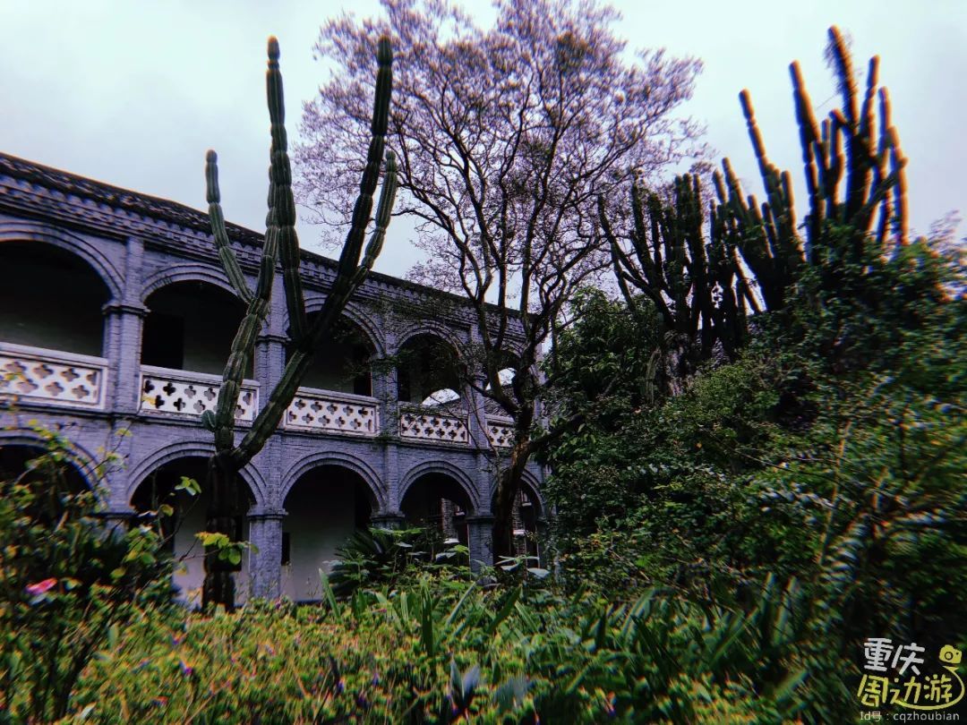 达人分享！消失的搭车人攻略“夏花依旧”