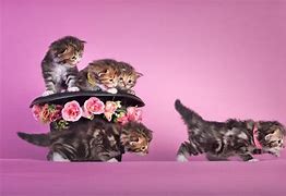 讲解！开天辟地的主人公是谁“典则俊雅”