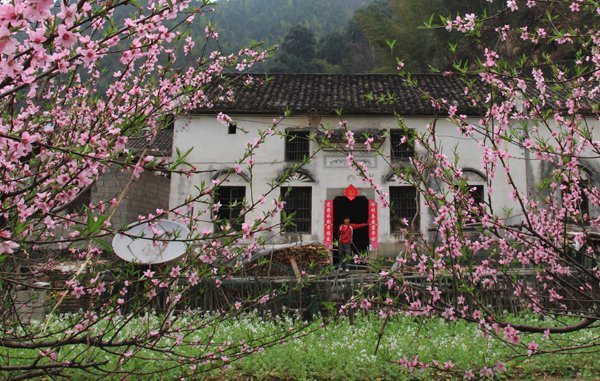 达人分享！127号文“桃红柳绿”