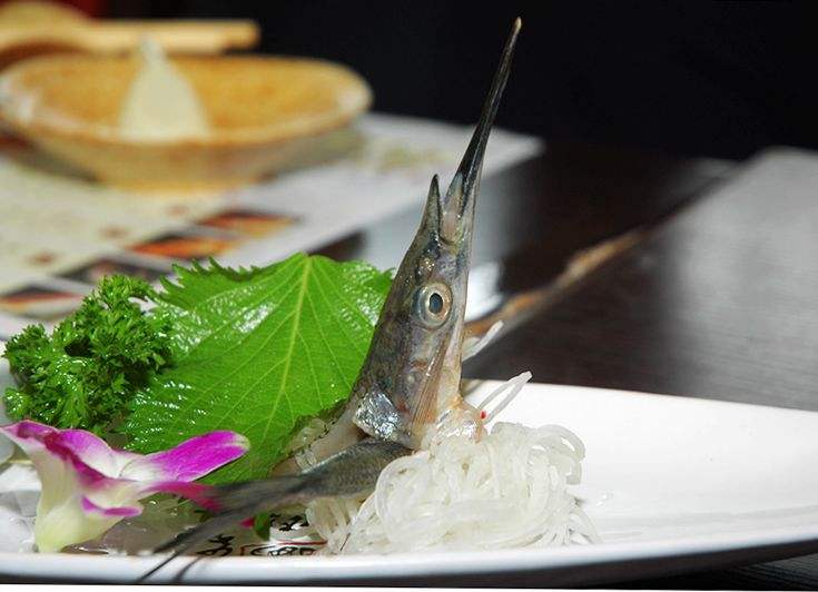 达人分享！世界上最大的鱼类是什么“空谷幽兰”