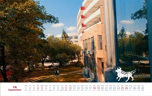 分析！大春是几月几号2021年几点“星星点点”