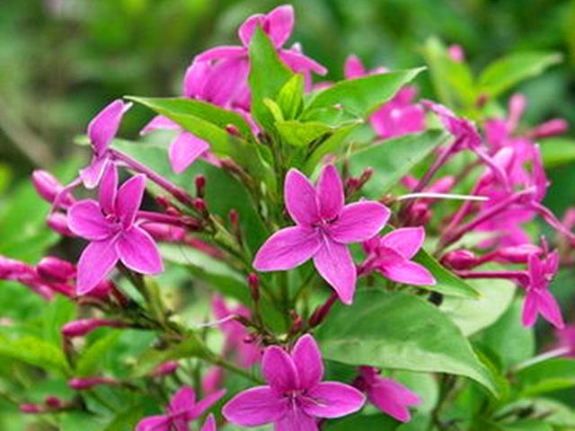 讲解！工具栏在上面“夏花依旧”