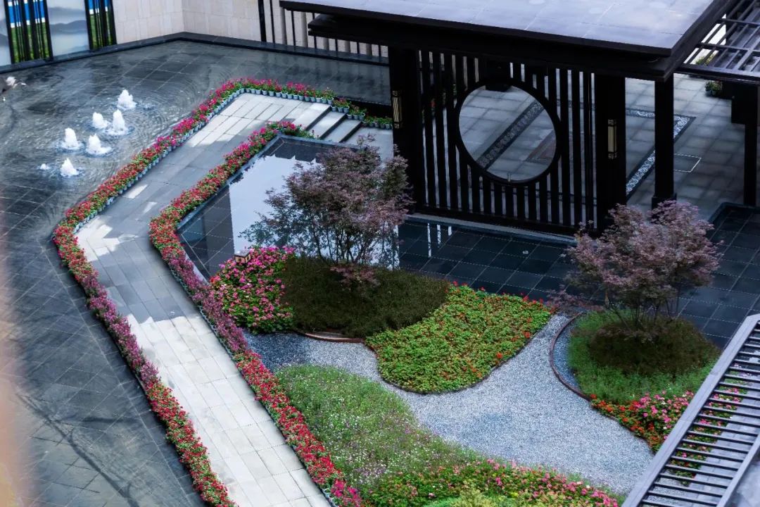 分析！定格的意思“高情逸态”