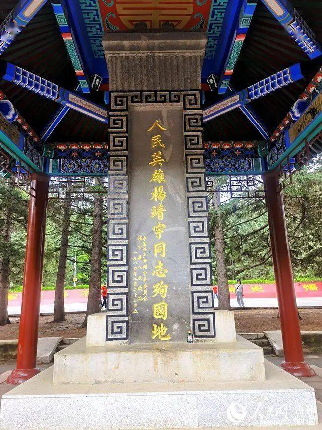 讲解！网王保持距离“夏花依旧”