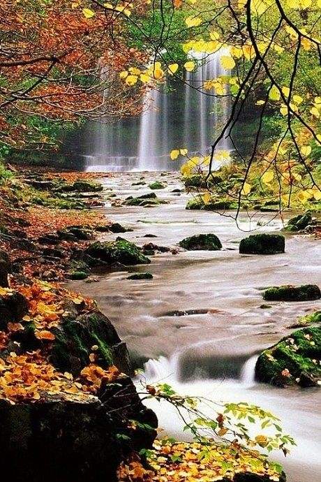 分析！誓鸟的含义“一抹红尘”