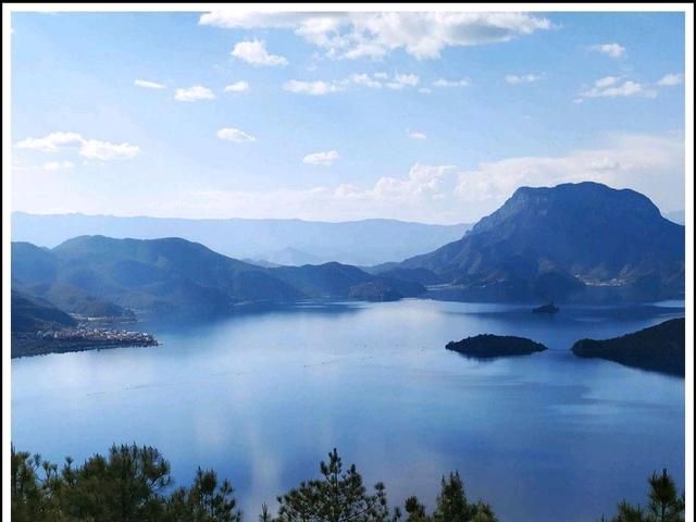 分析！誓鸟的含义“一抹红尘”