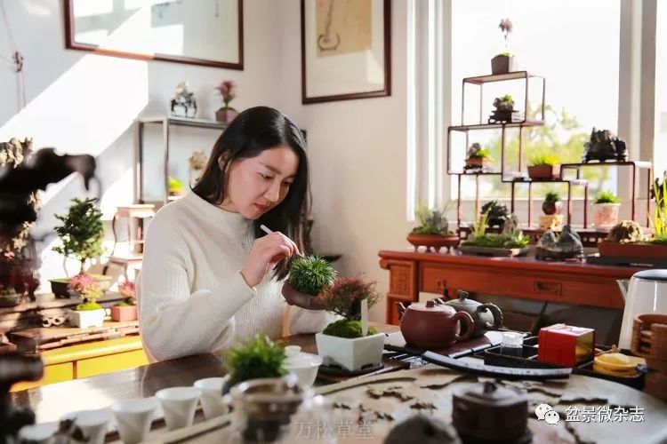 讲解！献身于艺术的人“桃红柳绿”