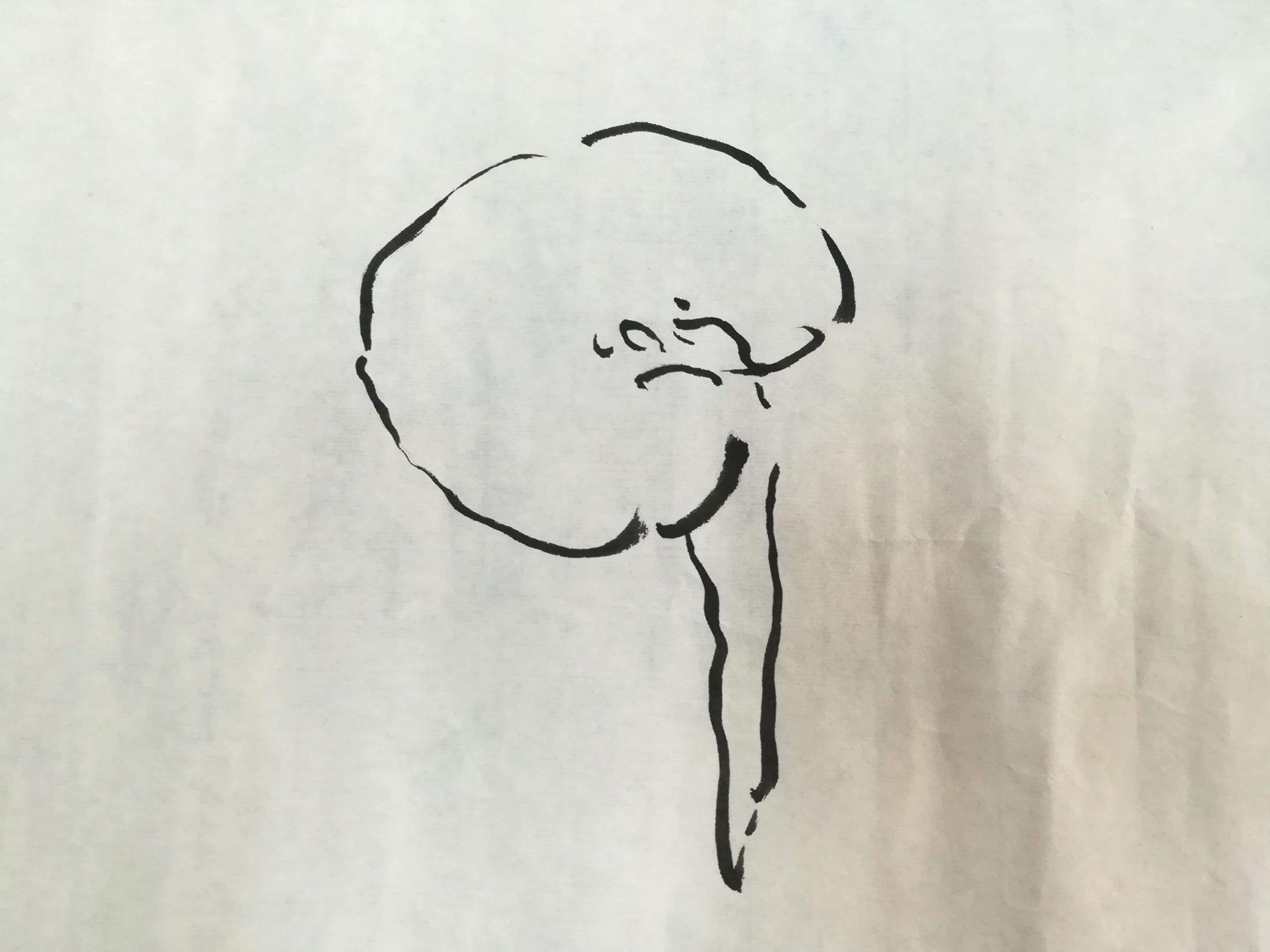 分析！简笔画龙“空谷幽兰”