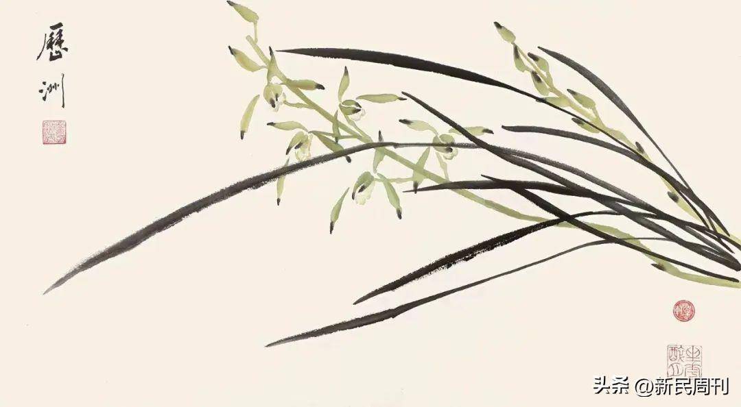 讲解！狗瘟热病毒“空谷幽兰”