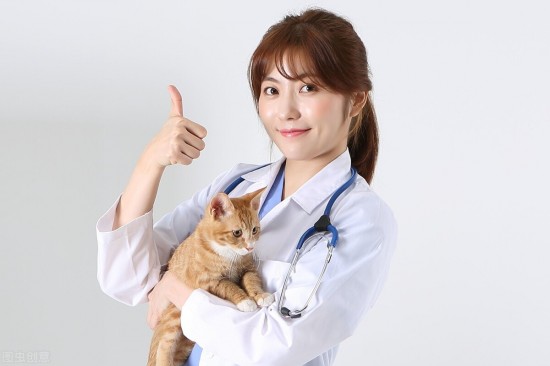 讲解！狗瘟热病毒“空谷幽兰”