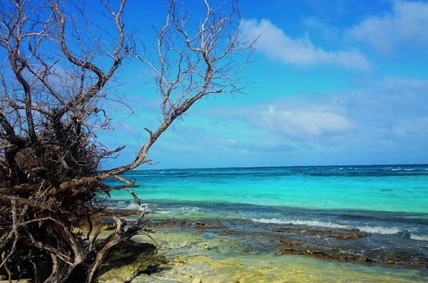 分析！美国多少人口2020“高情逸态”