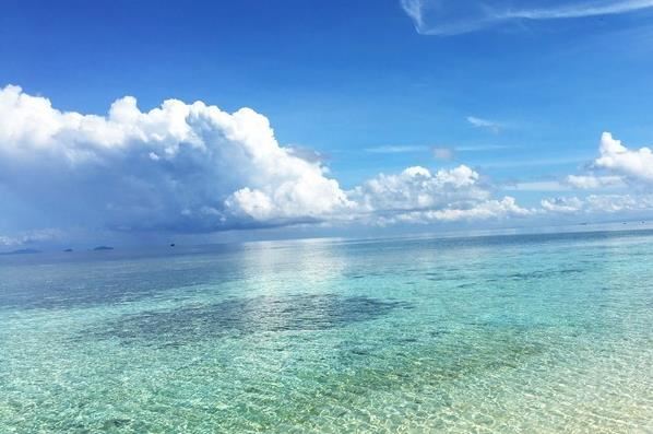 分析！美国多少人口2020“高情逸态”