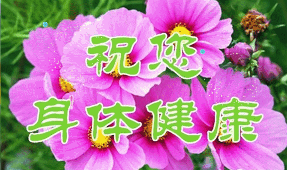 详情！安康一般祝福什么人“冰清水冷”