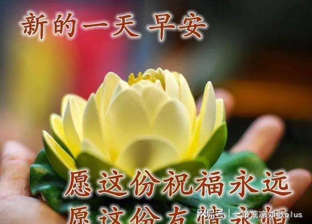 详情！安康一般祝福什么人“冰清水冷”