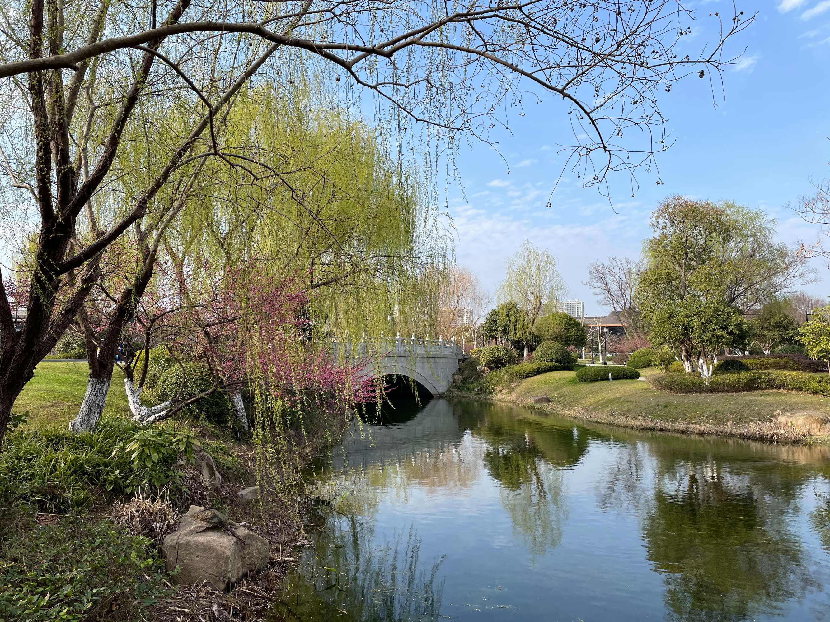 达人分享！新闻评论2021最新5篇“桃红柳绿”