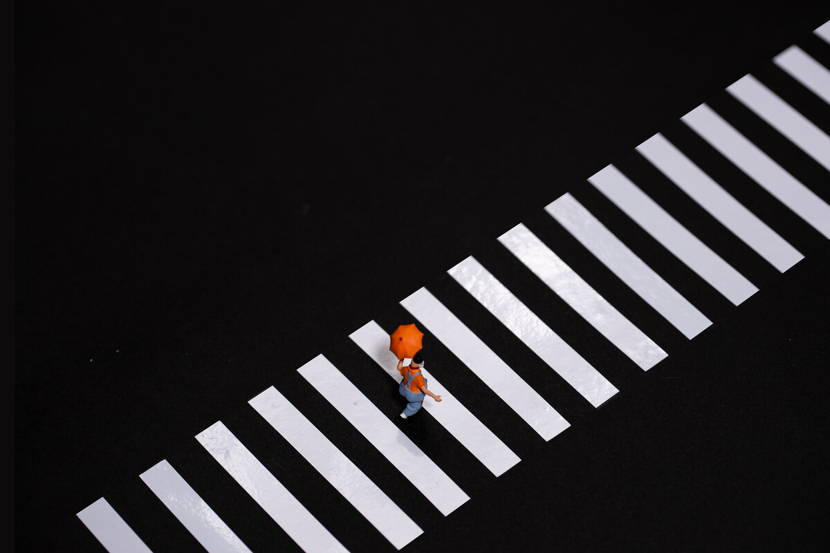 达人分享！斑马和斑马线有关系吗“典则俊雅”