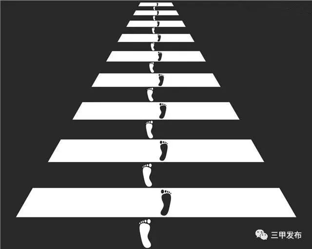 达人分享！斑马和斑马线有关系吗“典则俊雅”