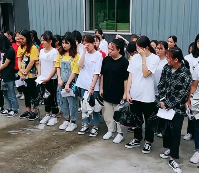 讲解！深圳用工荒“典则俊雅”