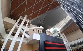 讲解！豹猫多少钱“雁过留声”