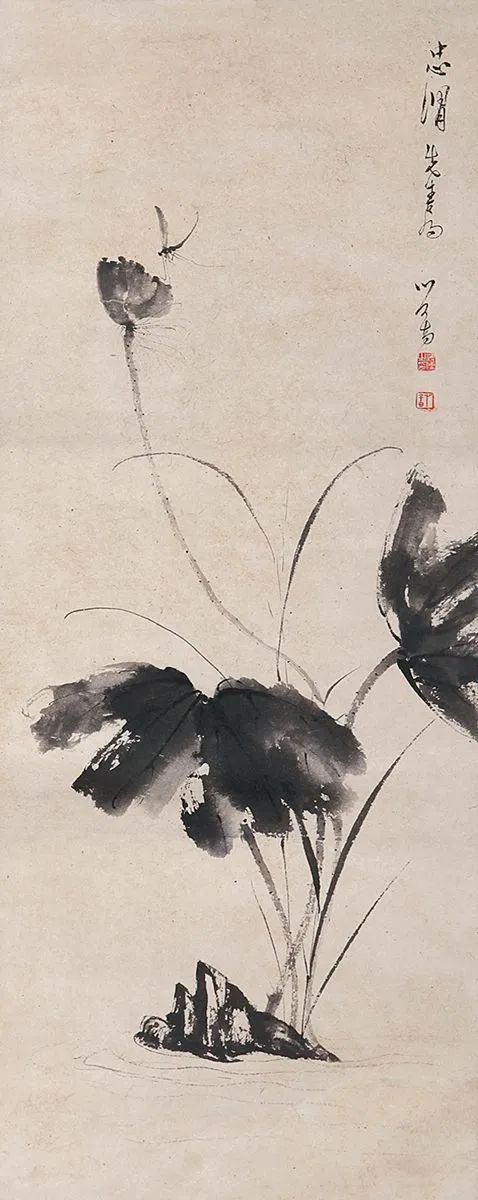 分析！白龙王鱼“空谷幽兰”