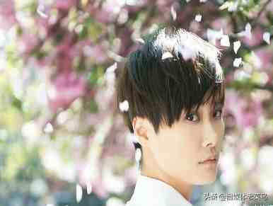 分析！信春哥得永生图片