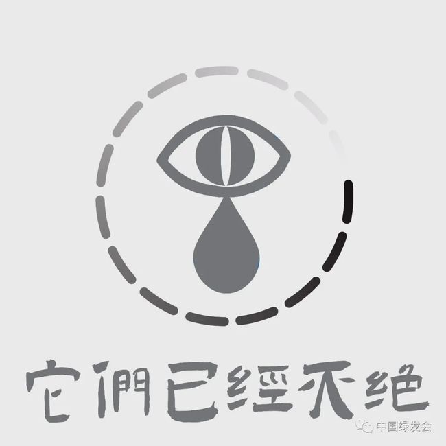 达人分享！提高速度“空谷幽兰”