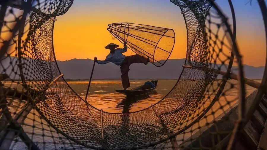 详情！大量传送减负“空谷幽兰”