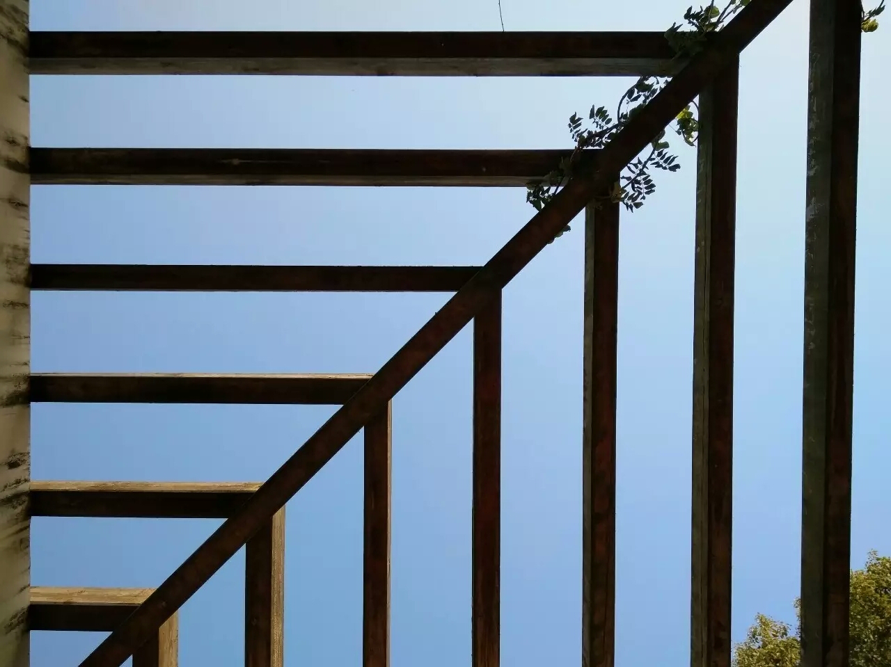 达人分享！skyangelvol80“空谷幽兰”