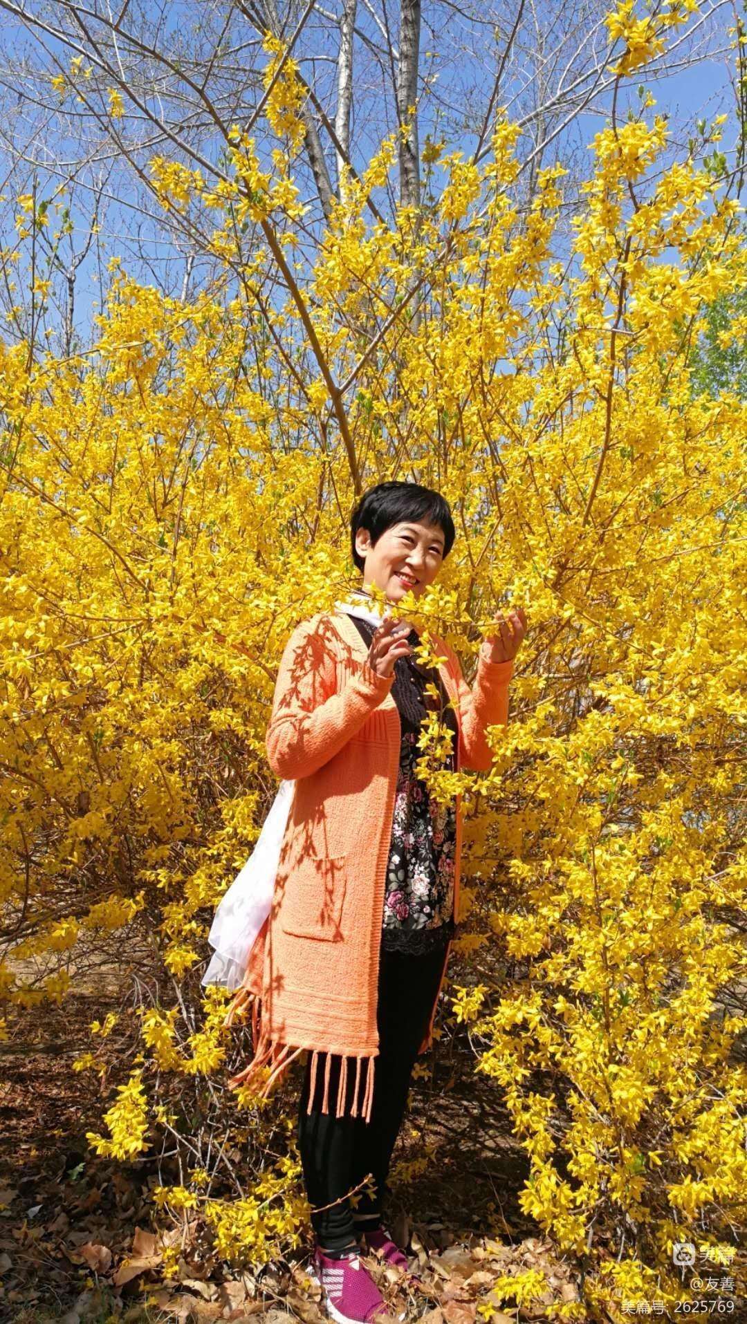 详情！wind万点“桃红柳绿”