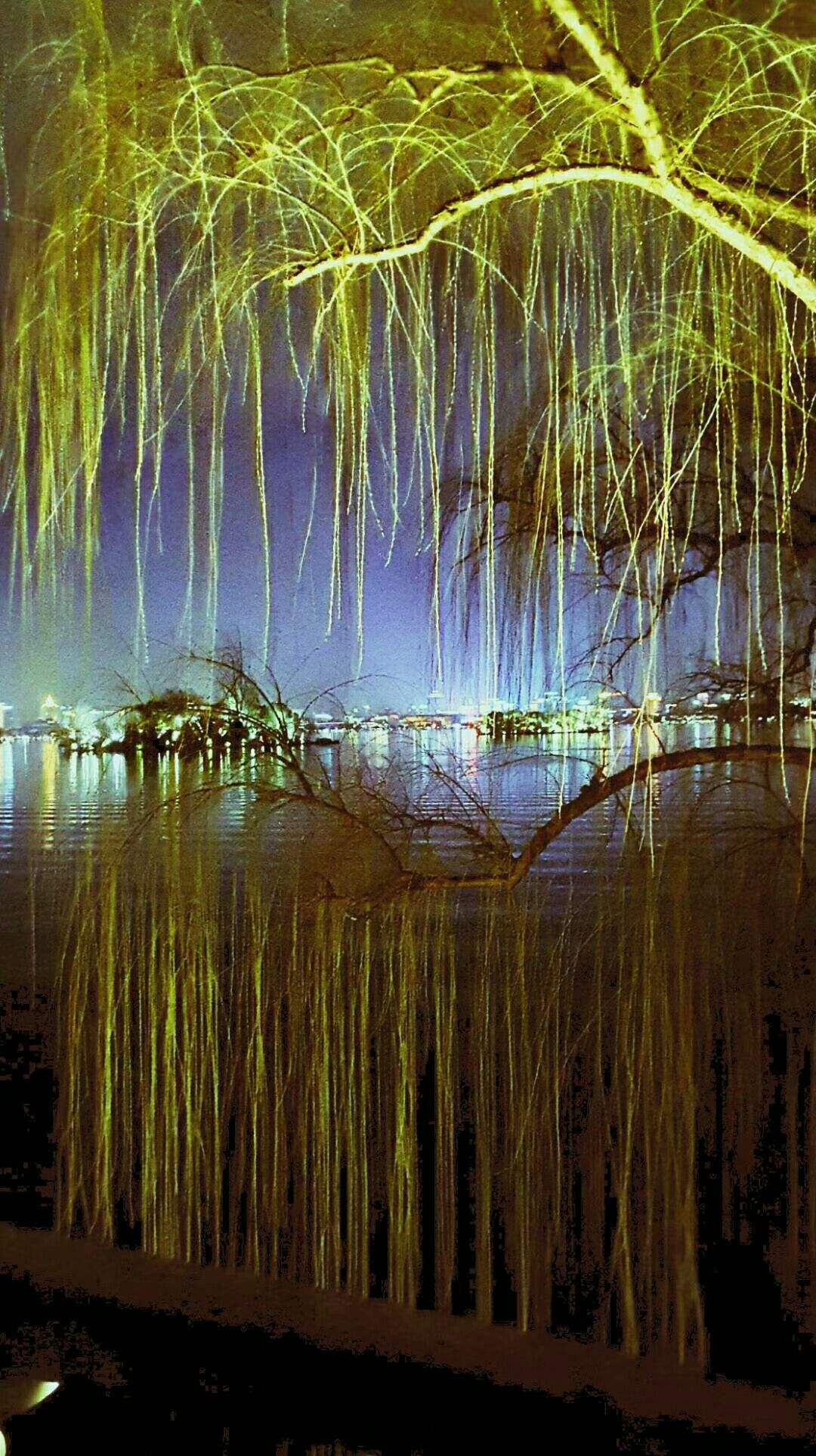 详情！wind万点“桃红柳绿”