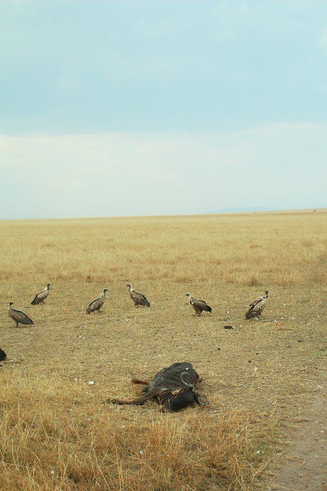 详情！青年干探片尾曲“纯一不杂”