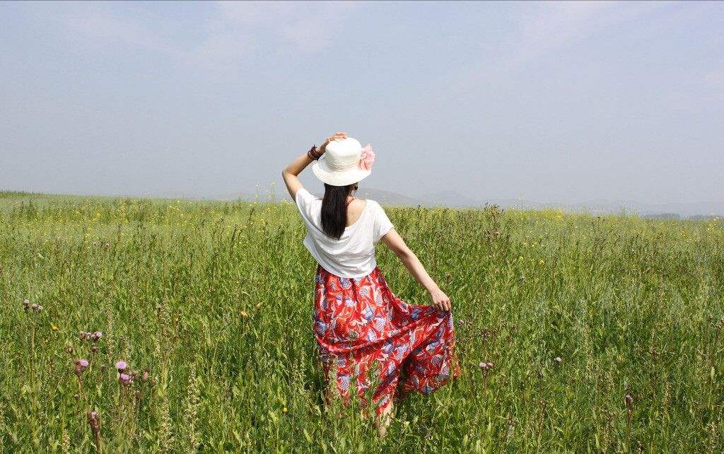 达人分享！忘忧草实际上是什么“纯一不杂”