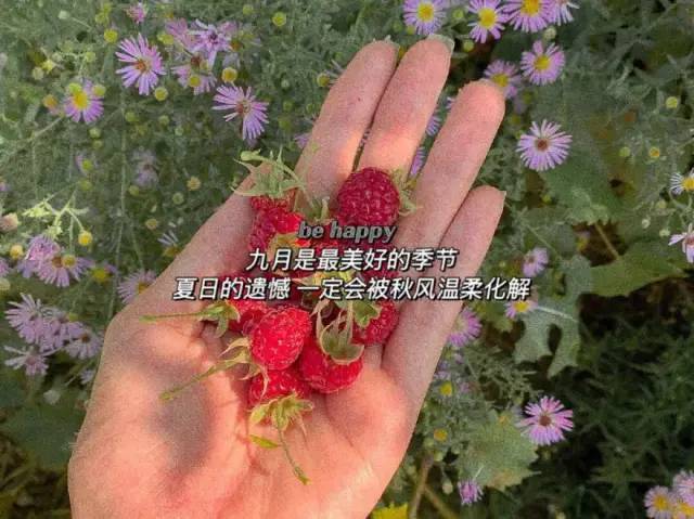 分析！九月十九是什么日子“星星点点”