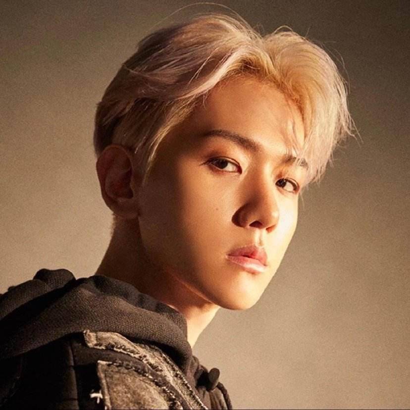 讲解！全力以赴exo“高情逸态”