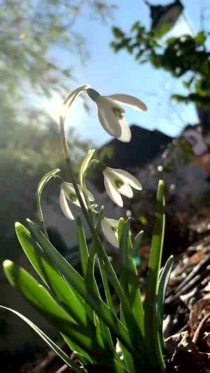 分析！私人调查收费“空谷幽兰”