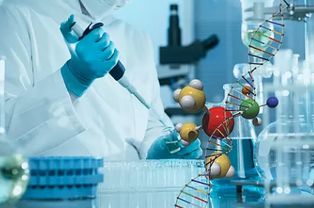 分析！烷肠“一抹红尘”