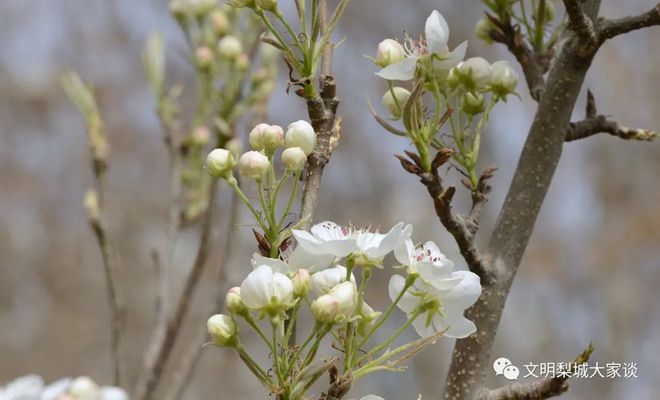 讲解！忽如一夜春风来是什么季节“冰清水冷”