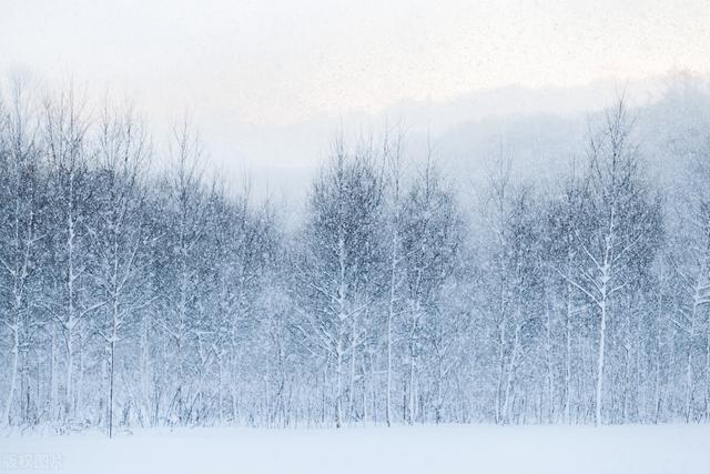 讲解！忽如一夜春风来是什么季节“冰清水冷”