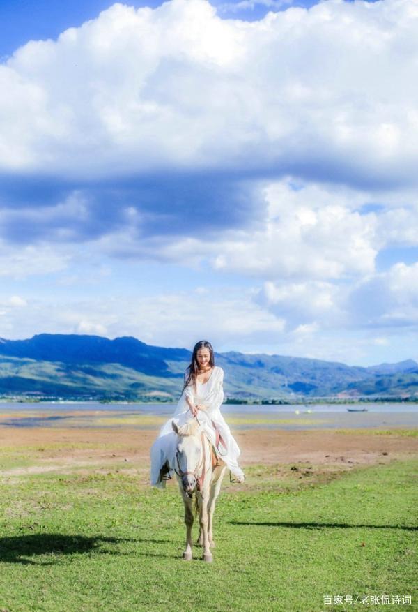 分析！什么一唱天下白“高情逸态”