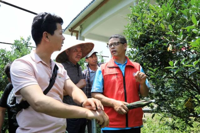 讲解！双轨是什么意思“星星点点”